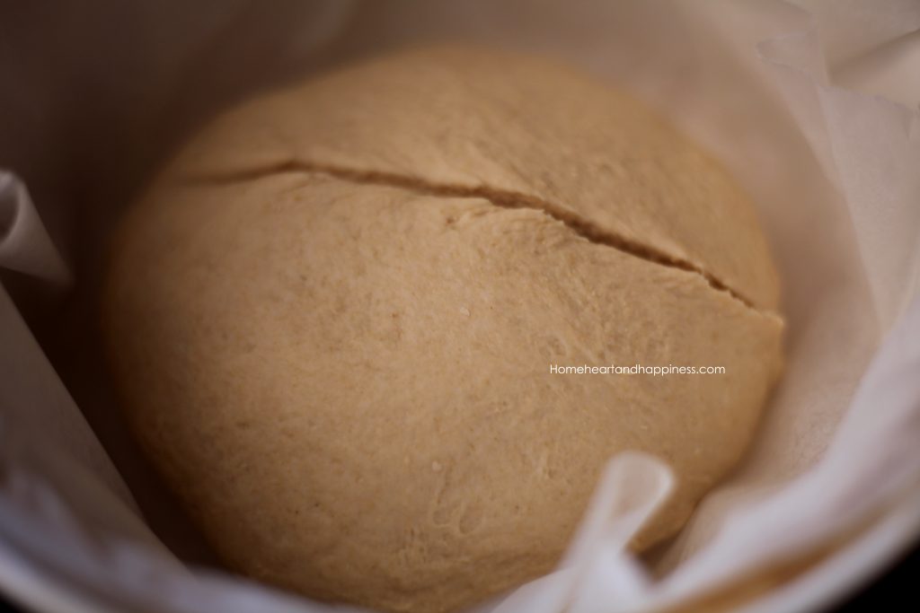 Wholegrain organic sourdough loaf rising